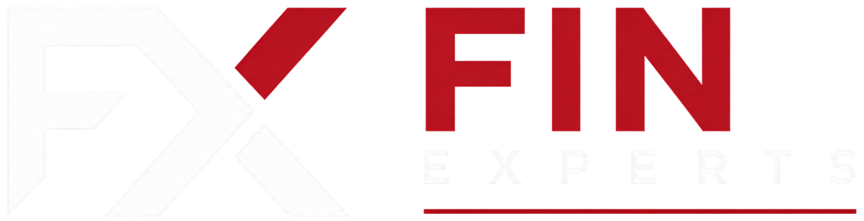 FIN Experts